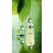 womans CRCR Eau de Parfum Vaporisateur Spray 3.4 FL OZ - Buy Online on GoSupps.com