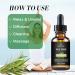 100% Organic Tea Tree Essential Oil - Face, Nails, Hair & Diffuser Treatment for Acne - Buy Online on GoSupps.com