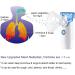 Portable Mesh Nebulizer - Handheld Cool Mist Steam Inhaler for Sinus Relief - Kids & Adults - Buy Online on GoSupps.com