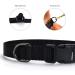 Audwud Adjustable Thick Nylon Dog Collar - Classic Styles for Small Medium & Large Dogs | 4 Sizes | Obsidian Black - Buy Online on GoSupps.com