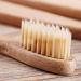 Buy TEAMWILL 20-Pack Bamboo Toothbrushes | 100% Natural Organic Soft & BPA-Free | Eco-Friendly Oral Care Solutions - Buy Online on GoSupps.com