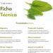 Boldo - Boldo Chilien (Peumus Boldus) en feuilles volantes Boldo Herbal Tea infusion pour bien- tre digestif effet apaisant doux et soutien antioxydant go t intense et aromatique - Buy Online on GoSupps.com