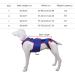 Small Dog Back Brace Spinal Support | Pet Support and Rehab Harness Soft Hip Leg Support D-Ring and Reflective Strips Back Protector Support Helps Hurt Relief Dogs Back - Buy Online on GoSupps.com