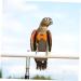 PopetPop Flying Bird Diapers - Reusable Cotton Diaper Pants for Small Birds Pigeons & Parrots | International Shipping - Buy Online on GoSupps.com