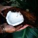 Coco Glow Scrub | Organic Coconut Oil & Tangerine Body Peeling for Smooth Radiant Skin - Buy Online on GoSupps.com