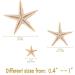 Pearl PCCLION Small Starfish Star Sea Shell Beach Craft 0.4-1 - 200 Pcs - Buy Online on GoSupps.com