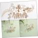 Gogogmee Bridal Headwear Bride Headpieces for Wedding Hair Accessories for Bride Hair Accessories for Women Comb Clips for Hair Wedding Bride Headpiece Hair Comb for Hair Side Comb - Buy Online on GoSupps.com