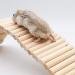 Wooden Rat Ladder Bridge Climbing Toy for Small Animals - Bird, Hamster, Mouse, Sugar Glider - Cage Accessories (23.62x3.14 Inches) - Buy Online on GoSupps.com