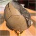 CIMWJOPS Natural Crystal Rough Natural s and Minerals Large Beautiful Dragon septarian geode Egg Around 200-1000g Home Decoration Very Lucky - Buy Online on GoSupps.com