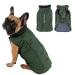 Withu Cold Winter Dog Pet Coat Jacket Vest Warm Outfit Clothes for Small Medium Large Dogs Green XS XS (Length 10.5'' Chest 13.2-15.2'' ) Green