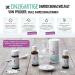 PFL GER Schuessler Salts No. 8 Natrium Chloratum D4 - 75g Cream for Fluid Balance | Gluten-Free Relief - Buy Online on GoSupps.com