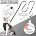 Breakproof Cat Leash Set & Adjustable Soft Kitten Vest - Reflective Stripes Black XS - Perfect for Small Kittens - Buy Online on GoSupps.com