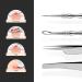 BEZOX Blackhead Tweezer and Acne Needle Set - Stainless Steel Comedone Extractor Kit - Buy Online on GoSupps.com