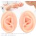 Silicone Ear Model - Durable & Portable Relaxation for Home Office & More | Shop Now! - Buy Online on GoSupps.com
