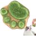 Kitten Treats - Cat Treats for Indoor Cats - Natural Healthy Cat Snacks Treats | Cat Paw Biscuits Cat Treat | Dry Cat Treats Kitten Treats | Kitten Treats Paw Shape Cat Food Treats | Treats for Cat Green - Buy Online on GoSupps.com