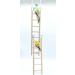 Wooden Climbing Ladder Toy for Parakeets, Parrots, Cockatoo - 2pcs, 6 Step & 8 Step - Buy Online on GoSupps.com