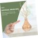 Zerodeko 12 Pcs Simulated Twigs Vase Ornament Artificial Plants Branches for Home Fake Branches Curly Willow Branches for Decoration Home Branches Decor Stems and Branches Filler - Buy Online on GoSupps.com
