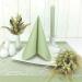50 APARTina Fabric-Like Airlaid Napkins - Phalaris Natural Green 33x33 cm | Premium Quality International Shipping - Buy Online on GoSupps.com