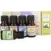 Essential Oils Set - 10ml Pure Natural Aromatherapy Oils for Fragrance & Relaxation | Perfect Gift for Family & Friends - Buy Online on GoSupps.com