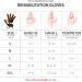 Rehabilitation Robot Gloves for Hemiplegia - Stroke Recovery Finger Exerciser & Rehab Trainer - Adjustable Temperature & Multi Modes (Left XXL - Buy Online on GoSupps.com