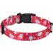 Mihqy Soft & Comfortable Nylon Dog Collar for Small & Medium Dogs | Red Flower Design | Adjustable 38-63 cm | Perfect for Puppies & Cats - Buy Online on GoSupps.com