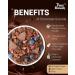 True Elements Chocolate Granola 31.74 Oz - Dark Chocolate, Almonds & Cranberries | Healthy Breakfast Granola | 100% Whole Grain Cereal - Buy Online on GoSupps.com