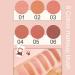 Matte Finish Blush Makeup for Cheeks Smooth Powder Face Blush Blendable Long-Lasting All day 6 Colors Blushing Pigmented and Lightweight Blush Palette - Buy Online on GoSupps.com