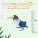 Bird Water Feeder 1PC Automatic Parrot Water Dispenser Bird Water Bottle with Cleaning Brush Bird Cage Accessories Bird Drinker Bowl Fountain for Parrot Budgie Lovebirds Cockatiel Parakeet 130ML - Buy Online on GoSupps.com