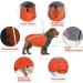Buy Slowton Winter Dog Coat - Warm Waterproof Jacket with Turtleneck for Small & Medium Dogs | Adjustable Windproof Reflective Stripes - XXL Red - Buy Online on GoSupps.com