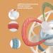 Sensory Silicone Teether for Babies - Colorful Lines | Crisp Sound | Easy to Clean | Reduce Swelling | 4 Textured Teething Toys - Buy Online on GoSupps.com