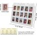 School Years Collage Frame for K-12 Graduation Photos - Holds 15 Pictures (White) - Buy Online on GoSupps.com
