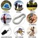 GRANDBUY Large Spring Snap Hook Carabiner  304 Stainless Steel Snap Hook Heavy Duty Carabiner Clip  Stainless Steel Spring Snap Hook Carabiner Carabiner Outdoor 4 inch 2 Pack - Buy Online on GoSupps.com