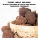 Premium Black Cardamom Pods Whole - Large, Plump, and Firm | All Natural Non-GMO Spice with Strong Aromatic Flavor - 8 oz - Buy Online on GoSupps.com