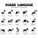 Professional Hongecb Dog Whistle Set - Rustproof Steel Adjustable High Frequency 3-Piece Ultrasound Training Pipe for Effective Dog Training - Buy Online on GoSupps.com