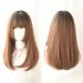 Hairpieces Japanese Long Straight Lace Front WIGS With Air Bangs 2 Tone Color Mix Heat Resistant Synthetic Fiber Hair for Cosplay 20 Inches WiThoneypuddingbrown Gradient Wood Ashnuring Tools