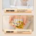 tongfeng Personal Pill Organizer - Travel Daily Portable Pill Holder Compact Daily Portable Travel Pill Dispenser Double Sealing Weekly Pill Dispenser Good Sealing Medication Organizer for Home Work 6 Grid Cream White - Buy Online on GoSupps.com