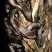 Pu-erh tea 2020 Lu Tang Sliding bamboo beams 357g Raw - Buy Online on GoSupps.com