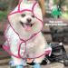 Buy Ssang Waterproof Dog Raincoat - Adjustable & Windproof Poncho Hoodie for Small & Medium Dogs (Pink M) - Buy Online on GoSupps.com