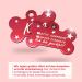Personalized Bone-Shaped Pendants for Dogs & Cats | Ibera Gifts - Custom Engraved Collar Tags (Red Stars) - Buy Online on GoSupps.com