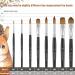 Sable Watercolor Brushes Professional  Fuumuui 8Pcs Kolinsky Sable Brush Set Variety Shapes with Flat  Round Pointed  Cat's Tongue Oval Wash Perfect for Watercolor Acrylic Gouache Inks Painting - Buy Online on GoSupps.com