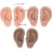 LUQEEG Soft Silicone Ear Model - 3 Pairs in 3 Colors | Ideal for Piercing Jewelry Exhibition & Teaching Demonstration - Buy Online on GoSupps.com