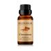 100% Pure and Natural Cinnamon Essential Oil - 10ML Aromatherapy Diffuser - 0.33 Fl Oz Cinnamon 0.33 Fl Oz (Pack of 1)