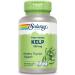 Solaray Kelp 550mg with Folic Acid | Thyroid Support & Energy Boost | Non-GMO | 180 VegCaps - Buy Online on GoSupps.com