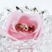 Adjustable Magnetic Copper Ring for Arthritis Relief - Men & Women - Buy Online on GoSupps.com