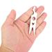 Carbon Brush Set for Nail Drills - 2 Pairs Handpiece Accessories & Wrench for Salon & Home Use - Buy Online on GoSupps.com