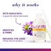 Burt's Bees Renewal Intensive Firming Serum with Bakuchiol Natural Retinol Alternative 1oz | Shop Internationally - Buy Online on GoSupps.com