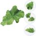 PLAFOPE Lettuce Hairpin Aesthetic Hair Clips Hair Clips Hair Accessories for Women Clips for Hair Alligator Hair Clips Hair Clips for Teen Cute Hair Accessories Small Hairpin - Buy Online on GoSupps.com