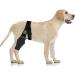 HSHGZSR Dog Knee Brace for Hind Leg Breathable Dog Leg Braces Comfortable Soft Dog ACL Brace Adjustable Pet Back Leg Support Brace for Supporting Dogs with Torn ACL Muscle Hind Leg Joint Discomfort Black L - Buy Online on GoSupps.com