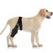 Dog Knee Brace Dog ACL Knee Brace Hind Leg Dog Leg Braces for Back Leg Cruciate Care Knee Brace for Supporting Dogs with Torn ACL Muscle Hind Leg Joint Discomfort (S)