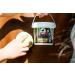 Buy RL24 Leovet Tam Tam Vet Intensive Gel - Insect Protection for Horses | 4-Way Action Against Mosquitoes Brakes & Ticks | 2 x 500 ml Buckets - International Shipping Available - Buy Online on GoSupps.com